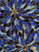 Blue Sequin & Beads On Silk Chiffon JEC-129-2 Fabric
