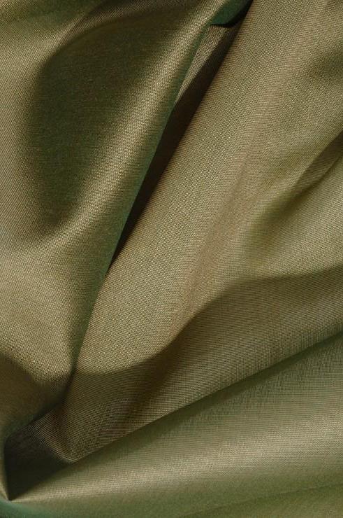 Iguana Green Cotton Silk Fabric